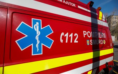 BĂRBAT ATACAT de urs în Bistrița-Năsăud: Victima, transportată de urgență la spital