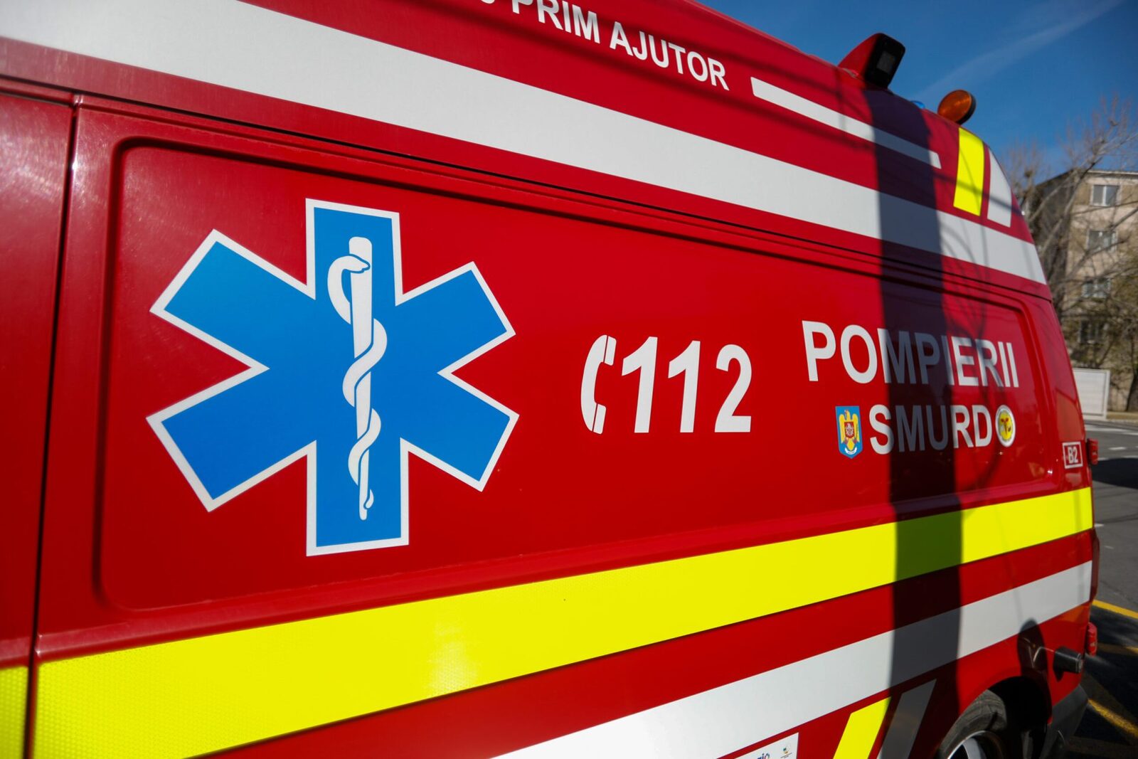 BĂRBAT ATACAT de urs în Bistrița-Năsăud: Victima, transportată de urgență la spital