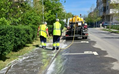 Curățenie de primăvară: Sectorul 6 intră în forță în Drumul Taberei!