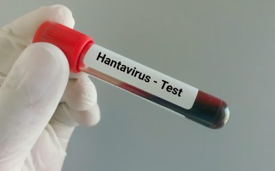 Hantavirus la Arad: Ancheta autorităților după suspiciuni. Ce spun medicii?