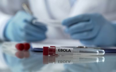 Ebola ajunge în Europa: OMS avertizează, riscul epidemiei crește, nu există granițe