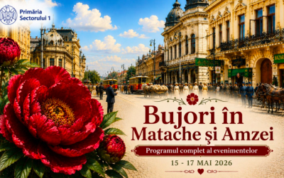 Bujori, flori și spectacol în Sectorul 1: Programul Festivalului în Matache și Amzei