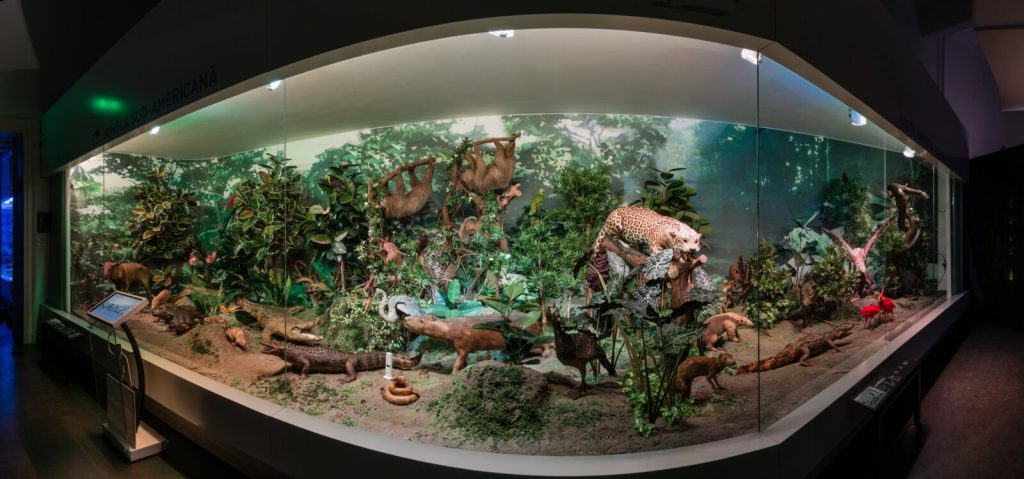 Antipa: Expoziția permanentă, gratuită în Noaptea Muzeelor, la București