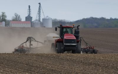 Blocaj în Ormuz: Criza îngrășămintelor lovește producția alimentară globală