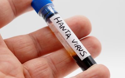 Hantavirus în Caraș-Severin: INSP anunță rezultate NEGATIVE, alarma falsă