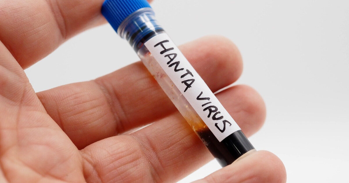 Hantavirus în Caraș-Severin: INSP anunță rezultate NEGATIVE, alarma falsă