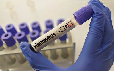 Hantavirus în Bihor: Pacient sub supraveghere, Institutul Cantacuzino așteaptă rezultate