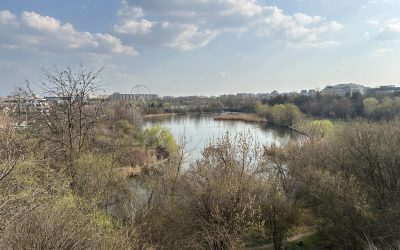 Ateliere de eco-circularitate în București: Platforma de mediu celebrează 5 ani