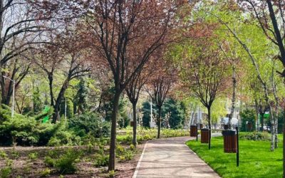 București: Consiliul General decide un nou parc pentru Capitală