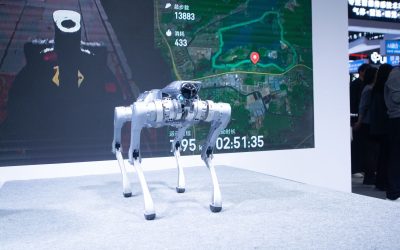 Robocâinele de pază, spion chinezesc? Un bărbat, raportat în China!