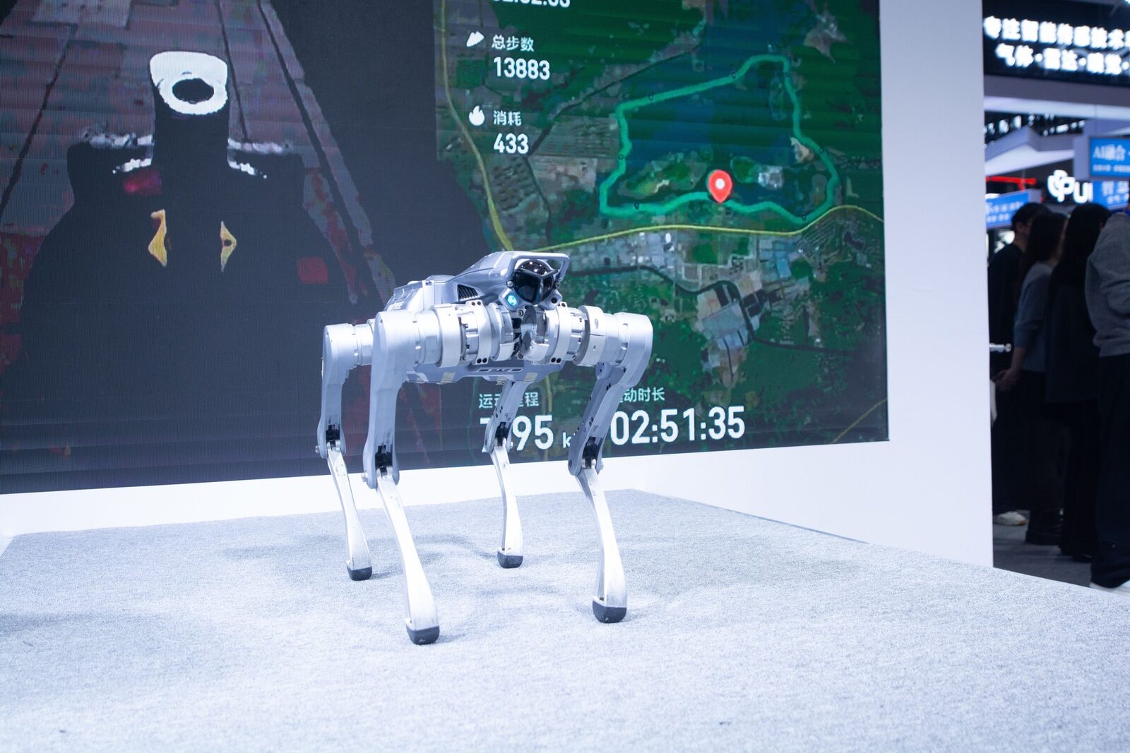 Robocâinele de pază, spion chinezesc? Un bărbat, raportat în China!