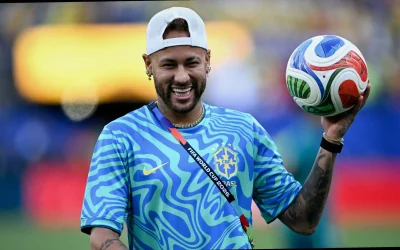 recuperación del gemelo en Brasil