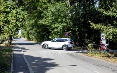 Greenfield vs. Primărie: Drum în Pădurea Băneasa bloat înainte de școală