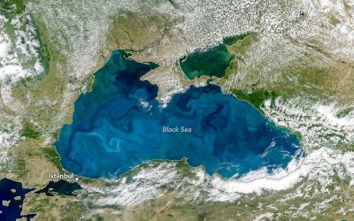 Marea Neagră turcoaz: ce se ascunde în mare când e cald