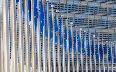 Ucraina și Moldova, start în maratonul UE. Drum lung!