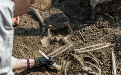 Schelete fără cap, groapă antică descoperită în Slovacia