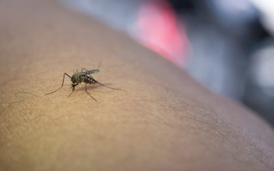A ars totul într-o noapte: scenă revoltătoare