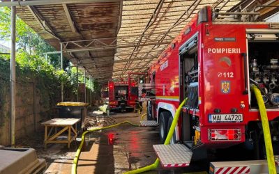 Incendiu hală Războieni Oradea: Cauza principală, elucidată