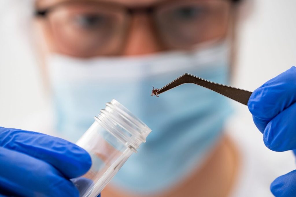 Formă severă de Lyme, medicii avertizează: simptome noi