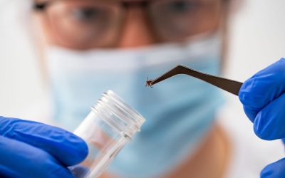 Formă severă de Lyme, medicii avertizează: simptome noi