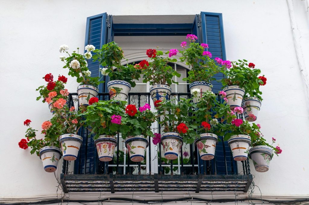 Plante tăcute la arșiță: alegerea ideală pentru balconul din România