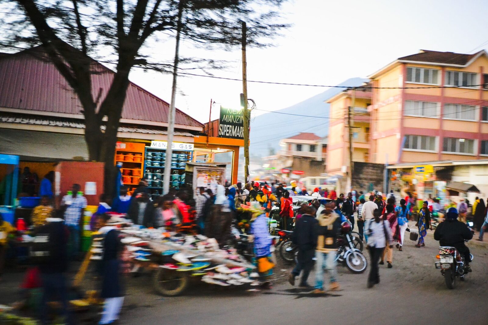 UE cere retragerea finanțării pentru Tanzania