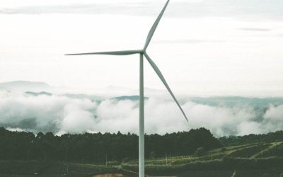 EY-Parthenon a uşurat investiţia verde a danezilor în România