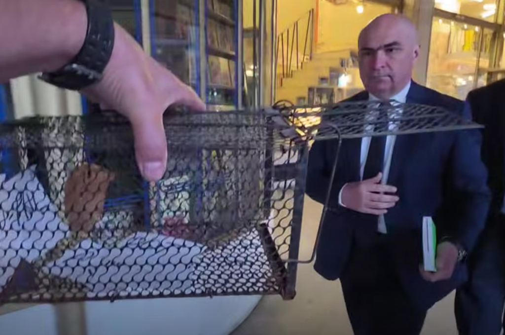 Când va renaște România. Speranța mult așteptată