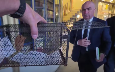 Când va renaște România. Speranța mult așteptată