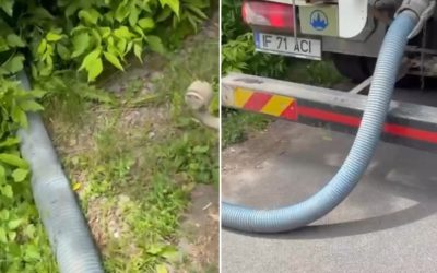 ILFOV: Garda de Mediu confirmă poluarea râului Pasărea. Amenda, 12.000 euro