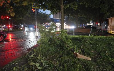 Alertă RO-ALERT: Ploi torențiale și vijelii în București