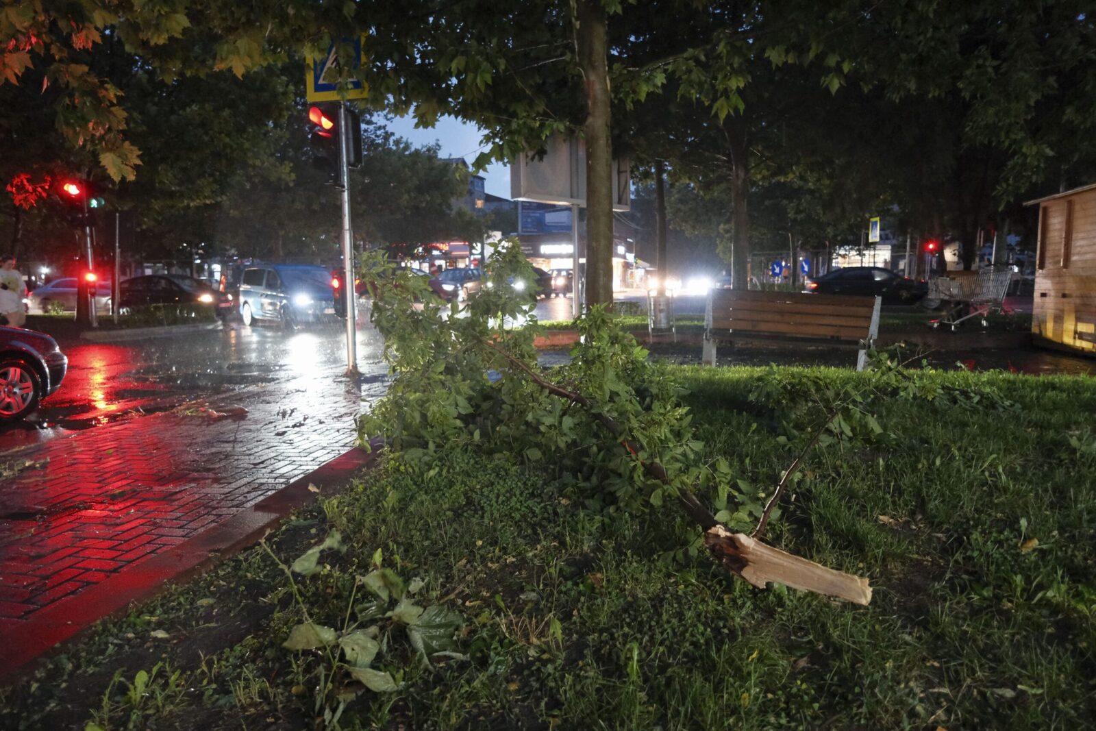 Alertă RO-ALERT: Ploi torențiale și vijelii în București