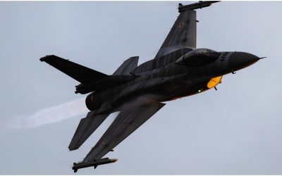 Avion Rus, Câine Pază-n Baltica