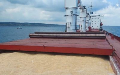 Ucraina cere ONU: Blocată exportul de cereale prin Marea Neagră