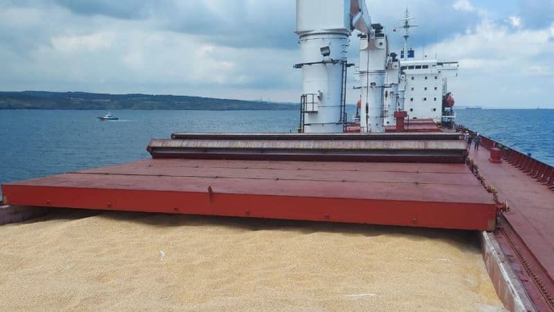 Ucraina cere ONU: Blocată exportul de cereale prin Marea Neagră