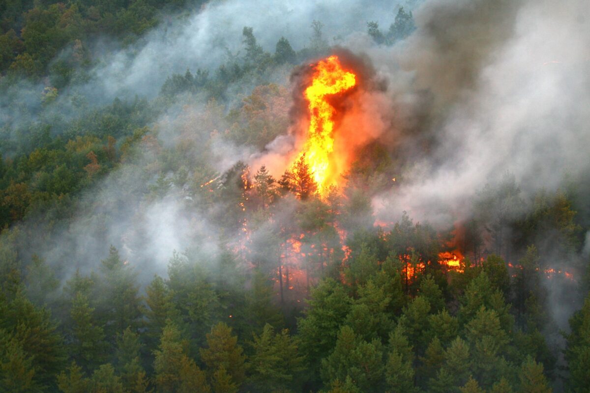 Fontainebleau arde lângă Paris. Gerul intervine
