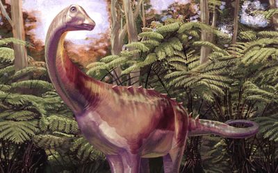Descoperire CRIA Antartica: Primele dovada ale dinozaurilor confirmate