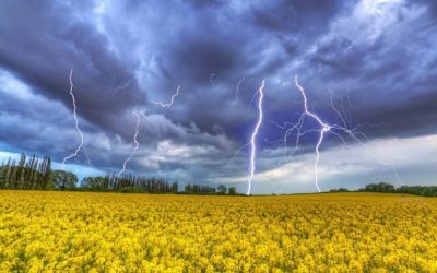 Temperaturi extreme în Ucraina, apoi un șoc meteo brusc