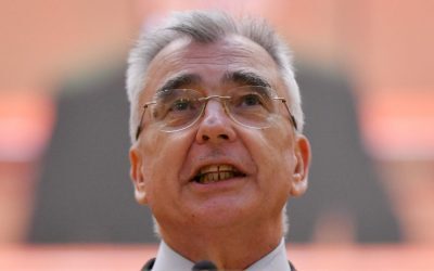 AUR, ferm pe euro: Exclus în următorii 4-5 ani