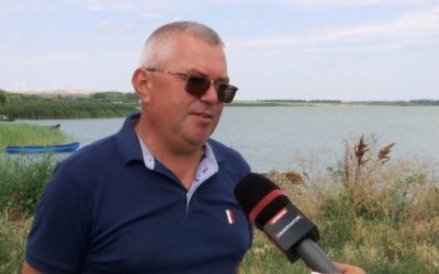 Peștele străin care a cucerit Dunărea, acum în farfuria ta!