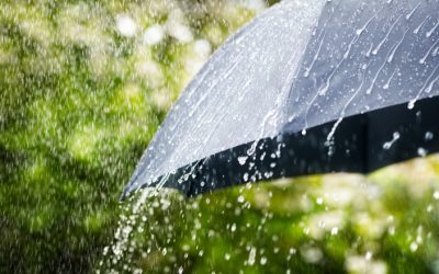 Caniculă și furtuni: București și Ilfov sub coduri de avertizare