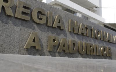 Romsilva, sute de achiziții fără licitație în 2025. De ce s-a întâmplat