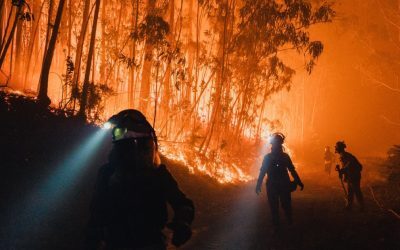 Europa: De două ori mai cald! Patru motive pentru „punctul fierbinte”