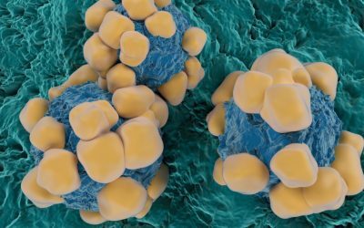 Viagra, arma secretă anti-cancer? Ce spune un nou studiu