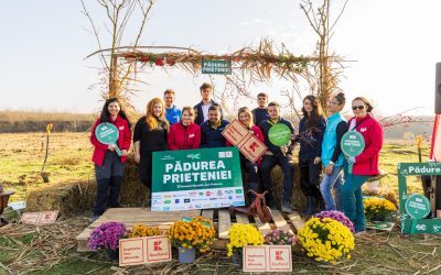 Investiții private, vieți schimbate: impactul CSR în comunități
