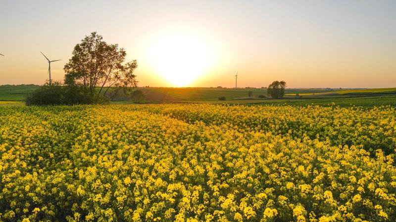 Pesticide din import: UE strânge lațul, fermele zootehnice scapă ieftin