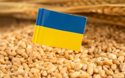 Ucraina cere UE 220 mil. euro pentru fermierii afectați