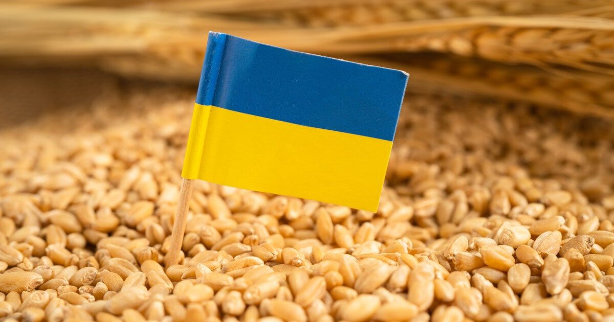 Ucraina cere UE 220 mil. euro pentru fermierii afectați