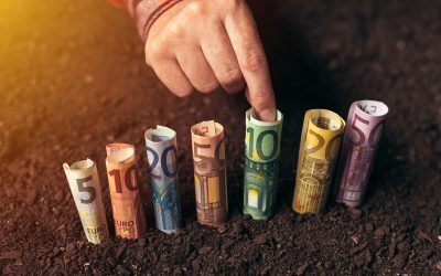Granturi UE 50.000 EUR: Ușile se deschid pentru fermele mici