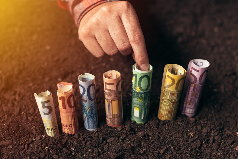 Granturi UE 50.000 EUR: Ușile se deschid pentru fermele mici